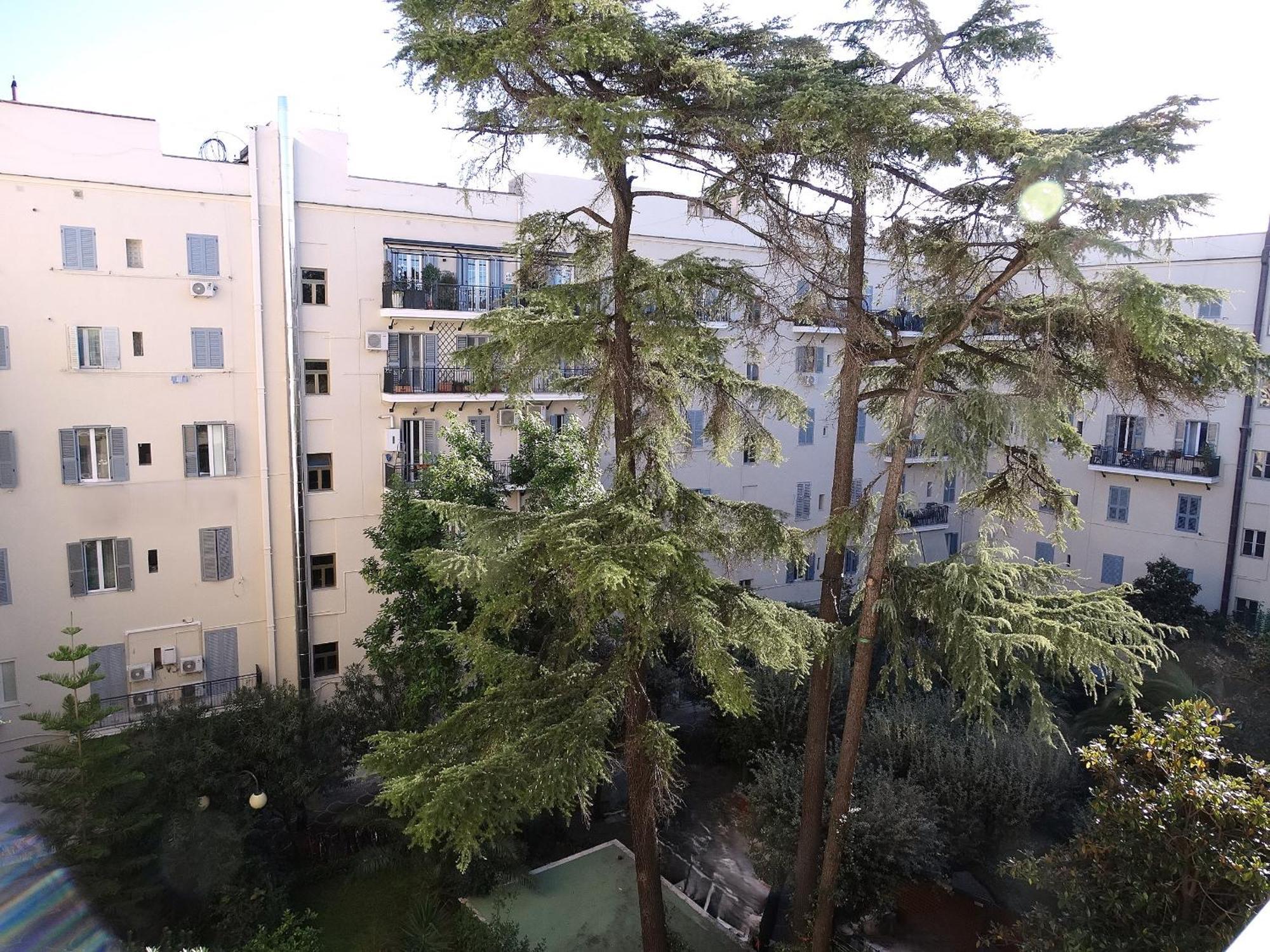 Domus Dino Apartment Rome Bagian luar foto