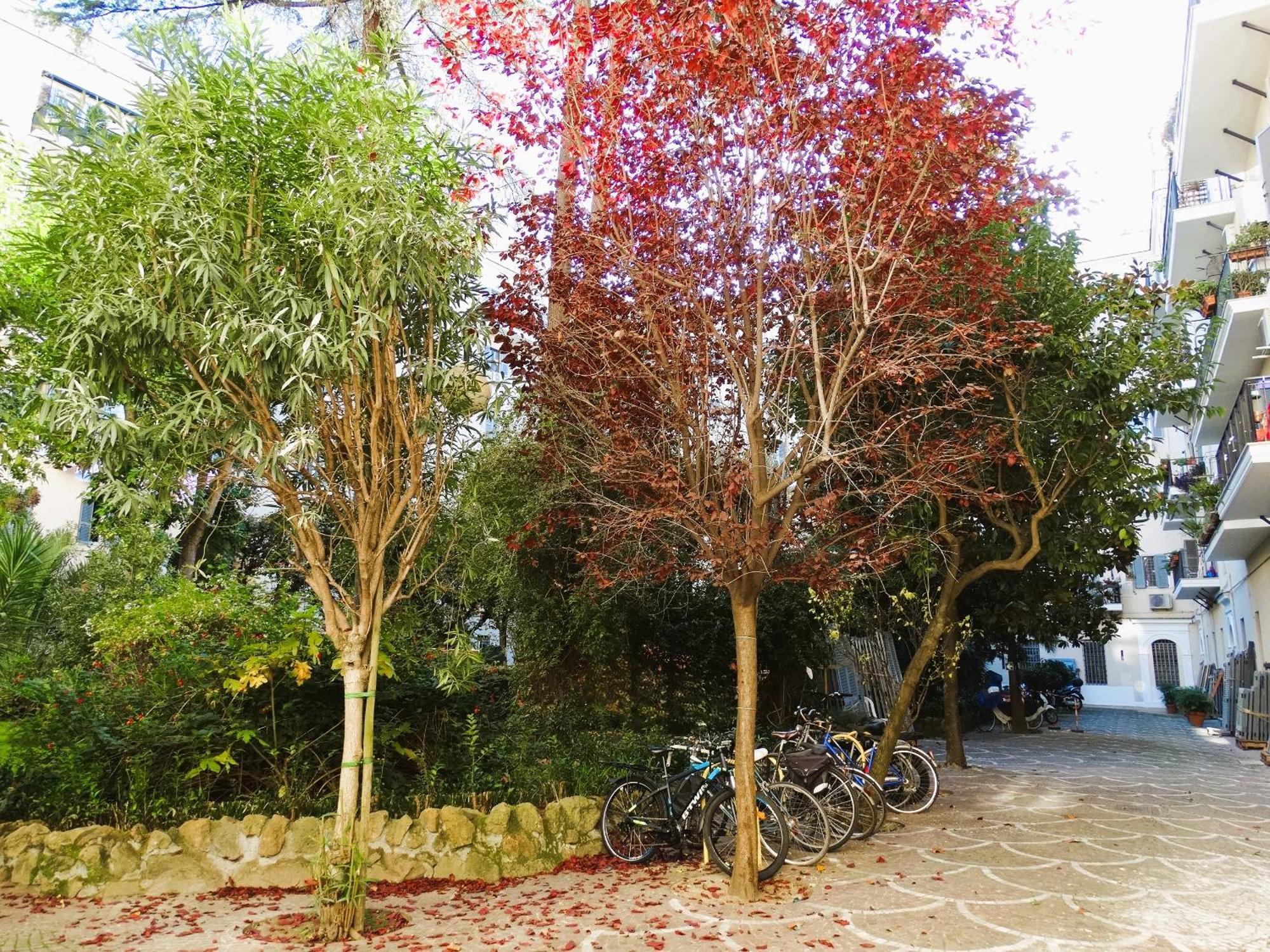 Domus Dino Apartment Rome Bagian luar foto